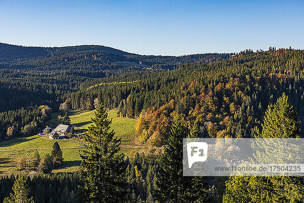 Lone farmhouse in Black Forest range during autumn