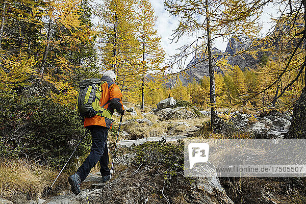 Senior man hiking on mountain at Rhaetian Alps  Italy
