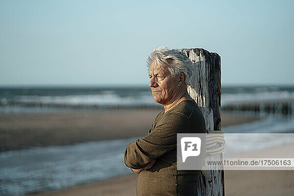 Senior man leaning on wooden post at beach