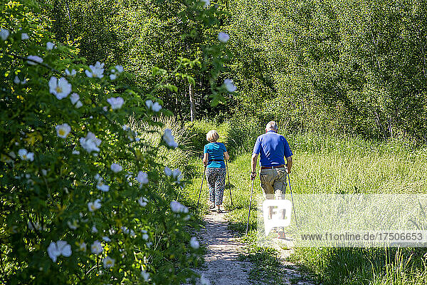 Senior couple with Nordic Walking poles walking by grass in forest