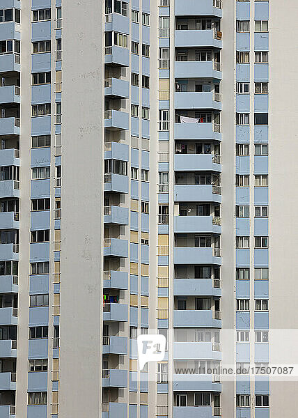 Portugal  Azoren  Ponta Delgada  Reihen identischer Balkone in Mehrfamilienhäusern