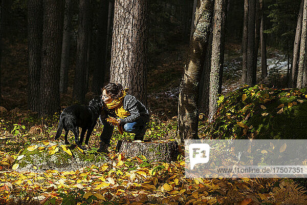 Woman in warm clothing kissing pet at autumn forest