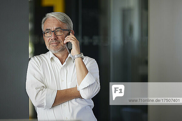Mature businessman talking on mobile phone at office