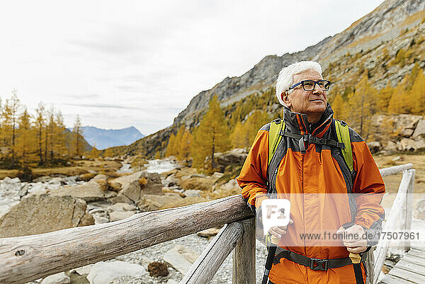 Senior man looking away from wooden bridge at Rhaetian Alps  Italy