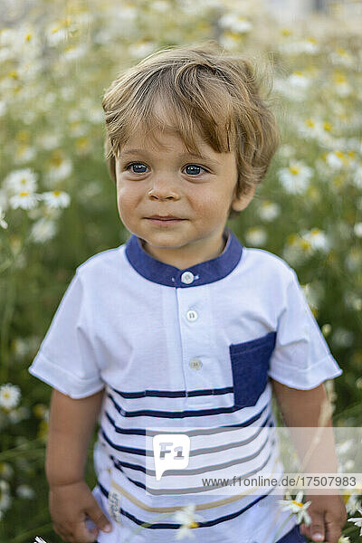 Cute blond boy standing in meadow