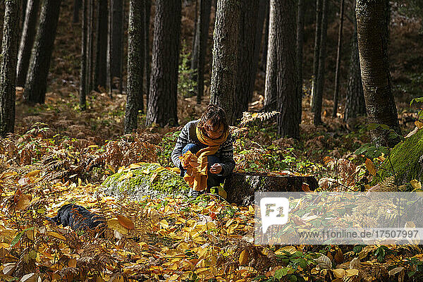 Woman collecting autumn leaves in forest