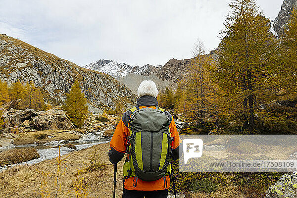 Senior backpacker hiking at Rhaetian Alps  Italy