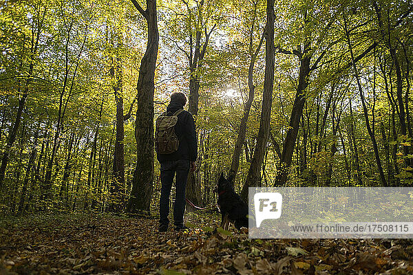 Young man with dog hiking in forest