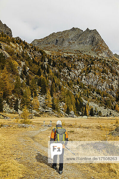 Senior tourist with backpack hiking on mountain at Rhaetian Alps  Italy