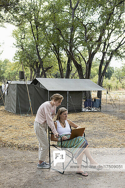 adult woman using laptop  tented camp  Okavango Delta  Botswana