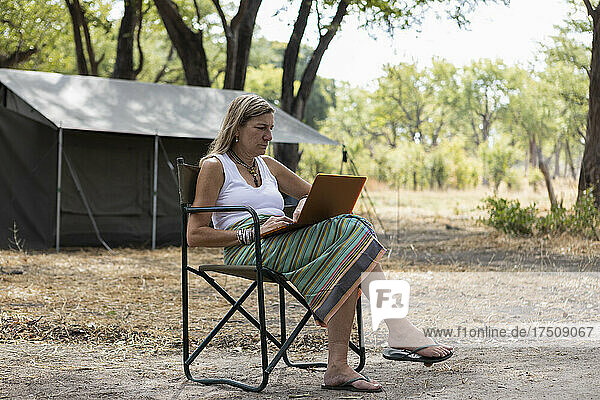 adult woman using laptop  tented camp  Okavango Delta  Botswana