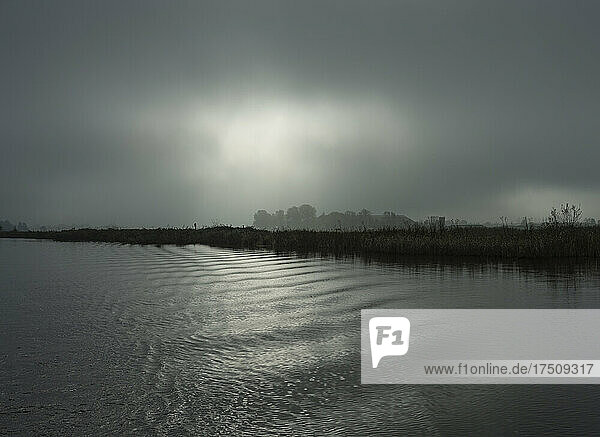 Friesland  Friesland  Broek  Lake on foggy and cloudy day