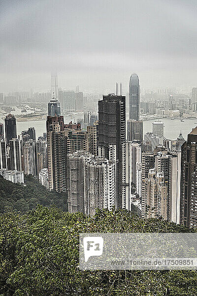 Skyline of Hong Kong from Victoria Peak  Hong Kong  China