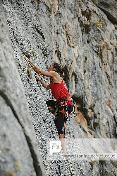 Determined female climber climbing rocky mountain