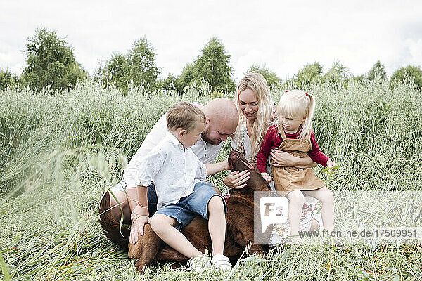 Family playing with Chocolate Labrador on oats field