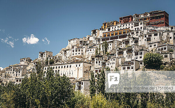 India  Ladakh  Thiksey  Hillside Thikse Monastery