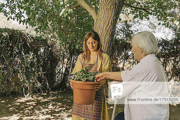Mother examining potted plant held by daughter in yard