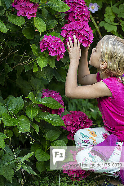 Cute little girl looking at flowers in garden