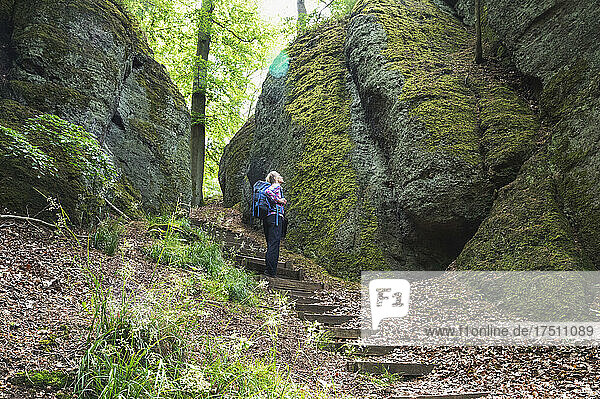 Senior man with backpack standing on steps in Thuringia forest  Germany