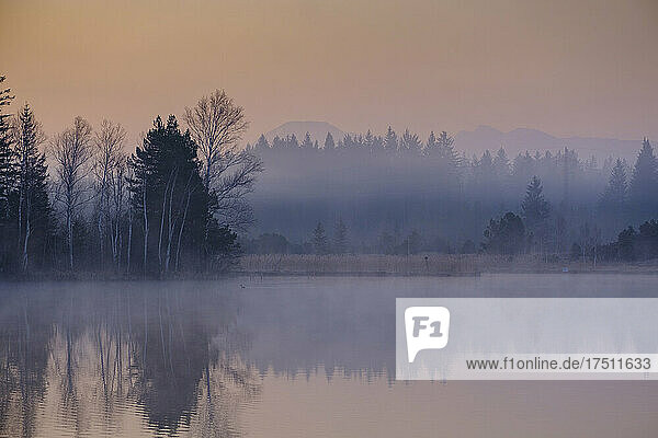 Kirchsee lake at foggy dawn