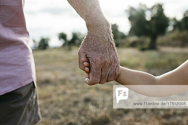 Close-up of grandfather and granddaughter holding hands