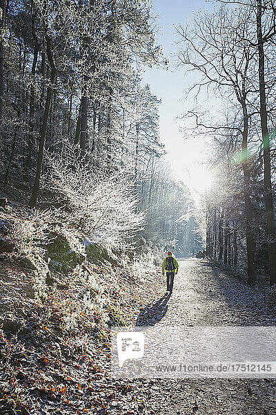 Deutschland  Rheinland-Pfalz  Die Sonne beleuchtet einen einsamen Wanderer  der einen Pfad im frostbedeckten Pfälzerwald entlang spaziert