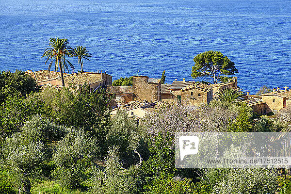 Spain  Mallorca  Llucalcari  Coastal village in Serra de Tramuntana