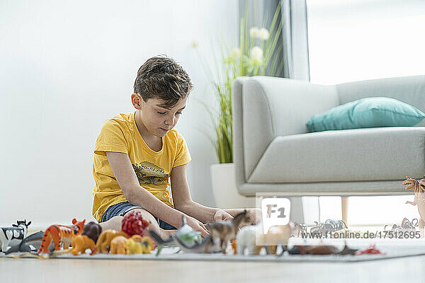 Boy playing with toy animals on carpet at home