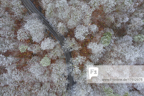 Germany  Bavaria  Drone view of asphalt road cutting through Steigerwald forest in winter