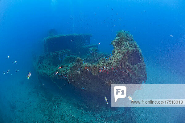 France  Corsica  Underwater view of Alcione C shipwreck - Italian tanker shelled and sunk during World War II