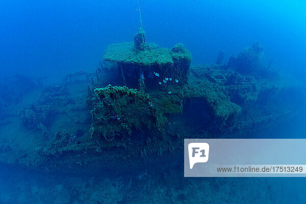 France  Corsica  Underwater view of Alcione C shipwreck - Italian tanker shelled and sunk during World War II