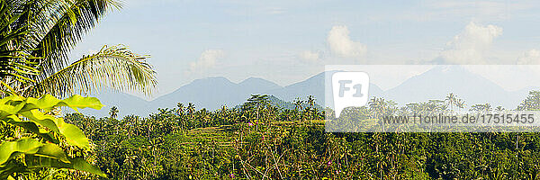 Panoramafoto von Vulkanen  Bergen und einem Palmenwald auf Bali  Indonesien  Asien