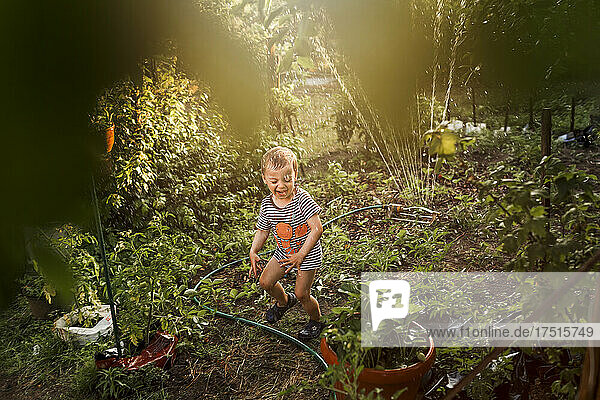 Small boy laughing and running away from water hose in garden