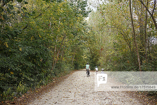 Rear-view of father and children biking on wooded path in autumn