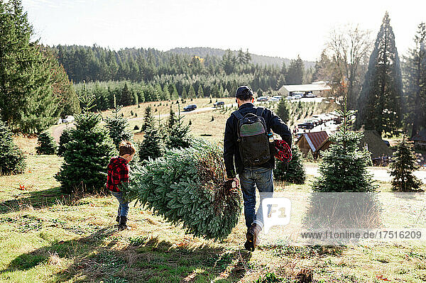 Father and Son carrying freshly cut Christmas Tree