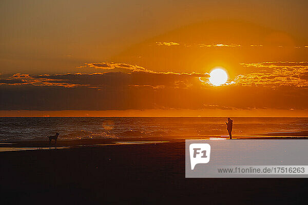 Silhouette of a man walking the dog on the beach at sunset