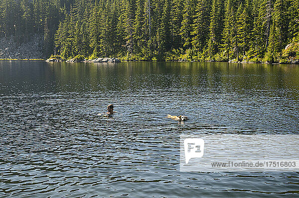 Guy and dog cooling off in an alpine lake in the summer
