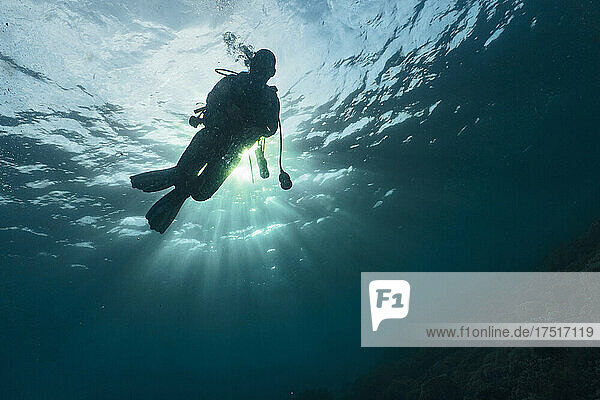 scuba diver ascending into the tropical waters around Komodo
