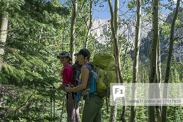 Two female backpackers pause in the aspen trees