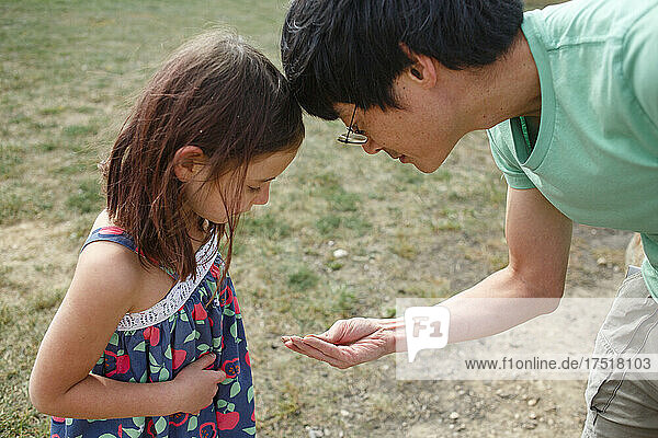 A father and little girl look carefully at something in his hands