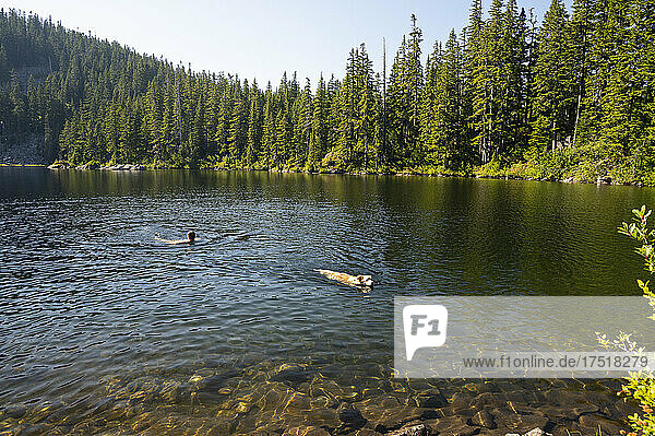 Guy and his dog swimming in an alpine lake