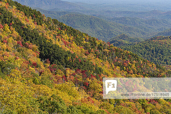 Scenic view of landscape with autumn trees at national park