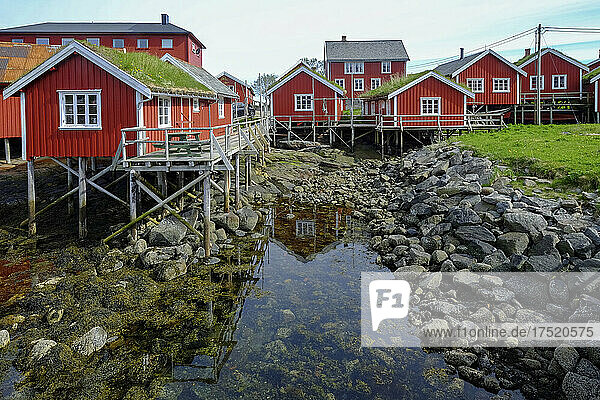 Red buildings grace the shoreline in the cod fishing village of Reine  Lofoten Islands  Nordland  Norway  Scandinavia  Europe