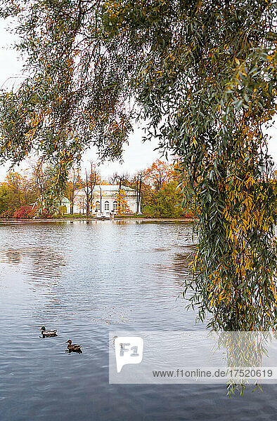 The Hall on the Island pavilion  Catherine Park  Pushkin (Tsarskoye Selo)  near St. Petersburg  Russia  Europe