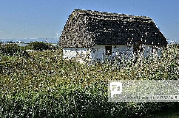 Fischerhaus mit Reetdach im Ebro Delta  Katalonien  Spanien  Europa