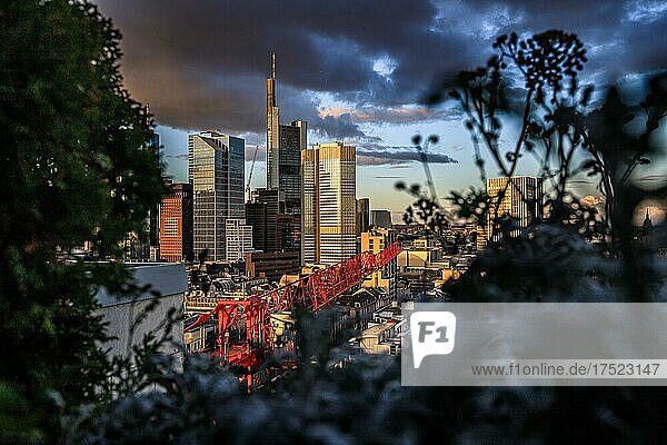 Aussicht über Frankfurt in den Sonnenuntergang  wohnen arbeiten in einem Quatier  Hochhäuser und Straßen  Hessen  Deutschland  Europa