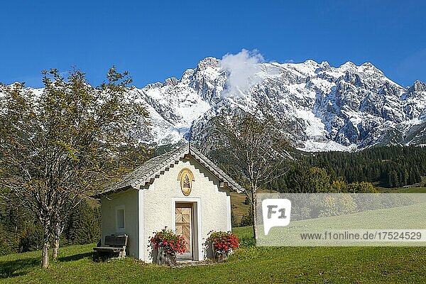 Schöneggkapelle im Herbst  hinten der schneebedeckte Hochkönig  Dienten am Hochkönig  Salzburg  Österreich  Europa