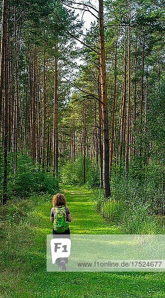 Wanderin auf einem grün bewachsenen Wanderweg im Brandenburger Forst  Deutschland  Europa