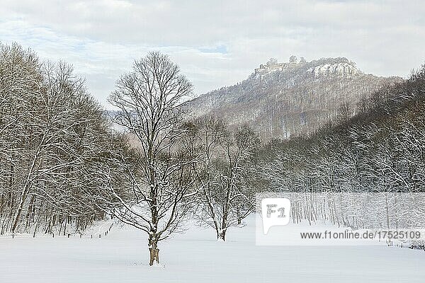 Winter landscape near Bad Urach  Hohenurach castle ruin  Baden-Württemberg  Germany  Europe