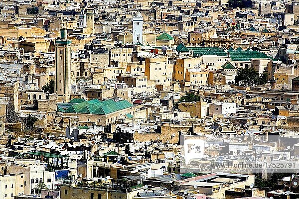Blick auf die Altstadtgassen von Fes  Fes  Marokko  Afrika